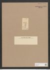 Navicula sp. (de-Toni-Nr.: Genus 1) Zeichnungen Sammlung Grunow Nr. 1495 (NHMW-BOT-W0368515)